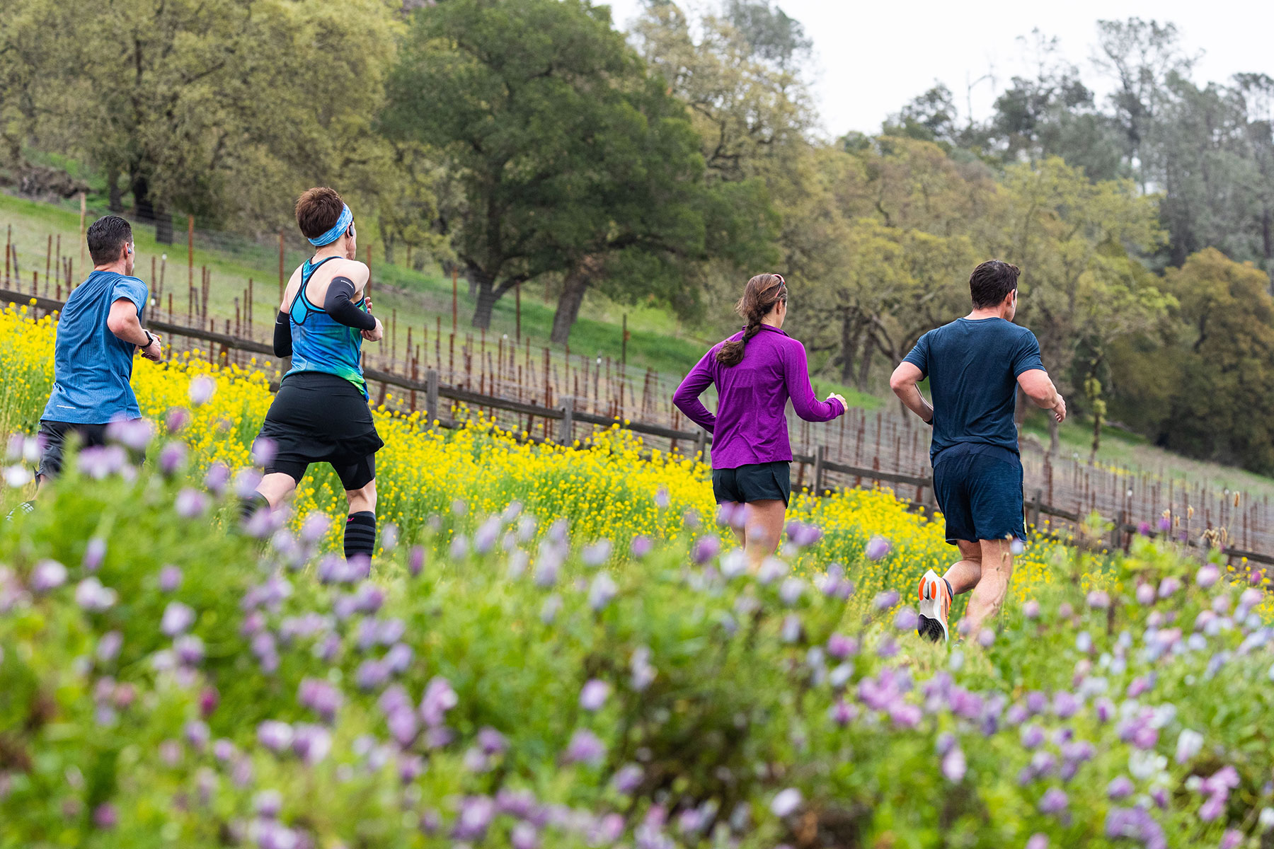 Home Napa Valley Marathon