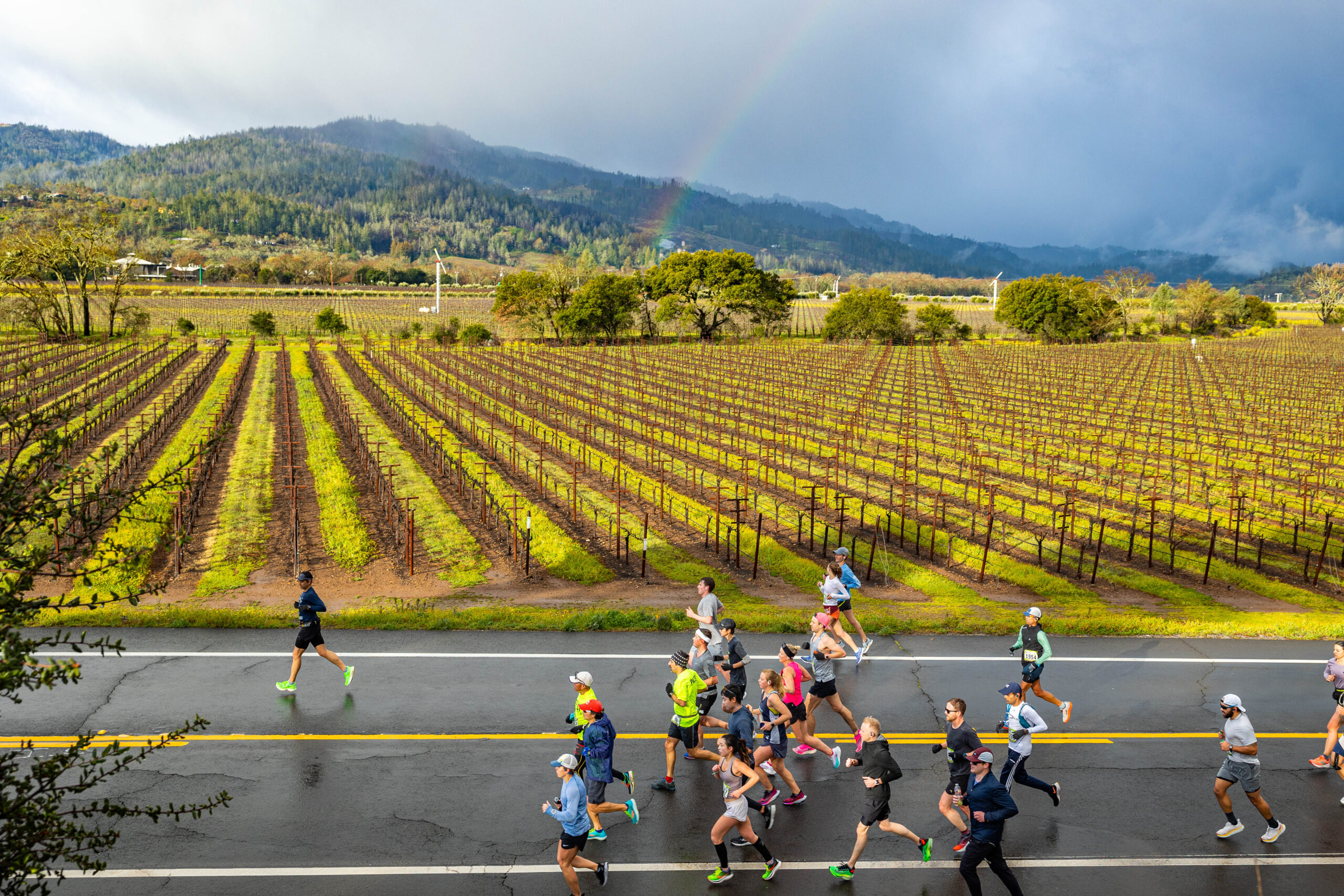 Home Napa Valley Marathon